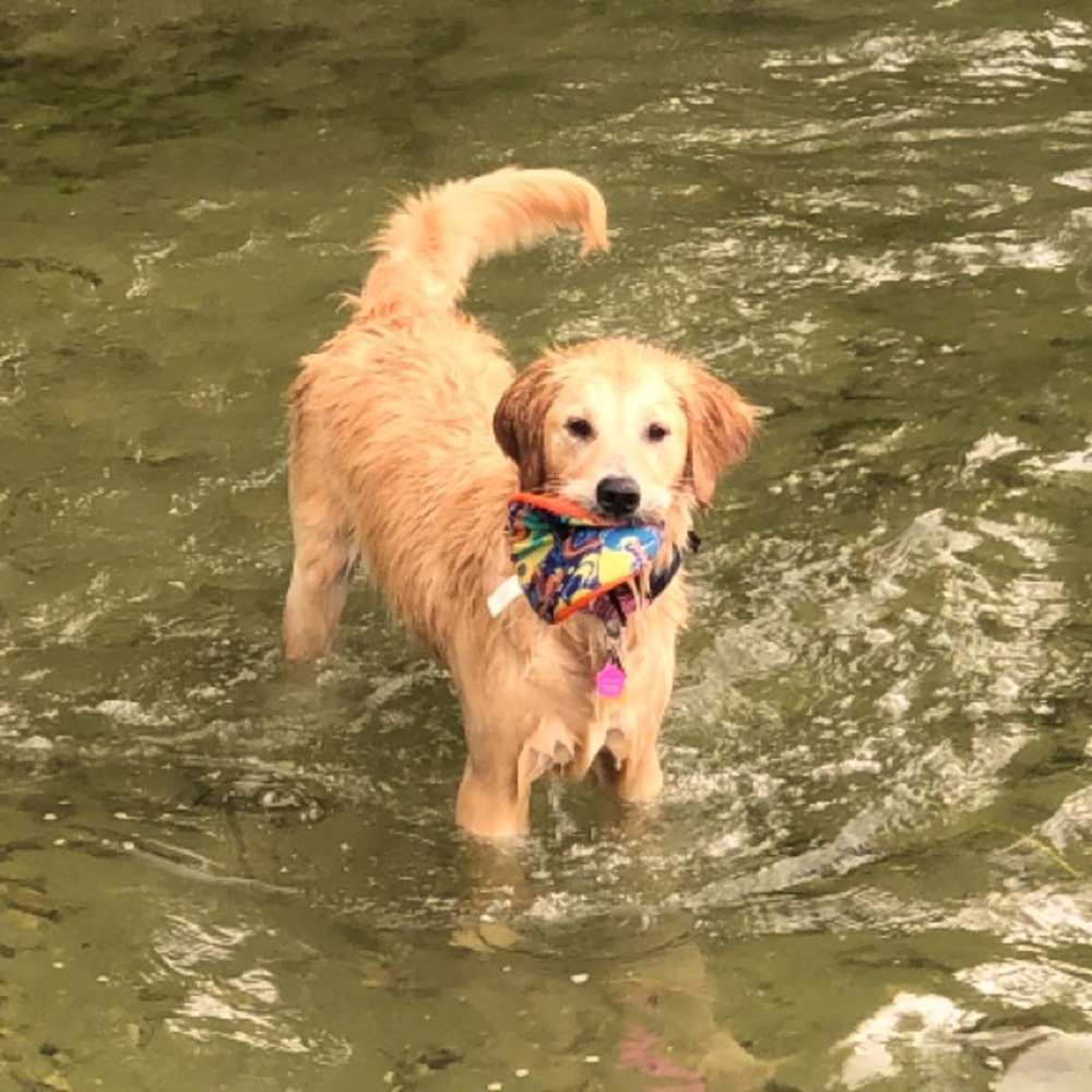 Meet your Posher, Lisa